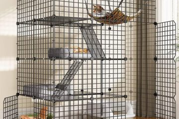 My cat cage