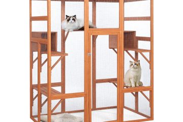 My cat cage