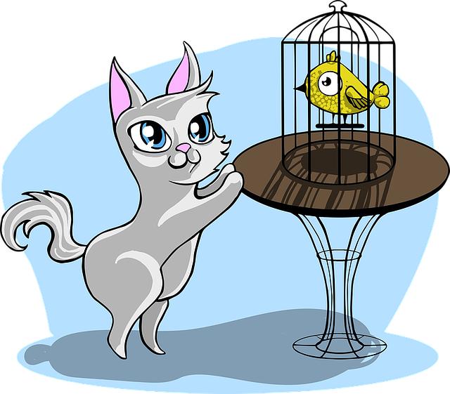 Practical Tips for ‍Maintaining Your Cat Cage