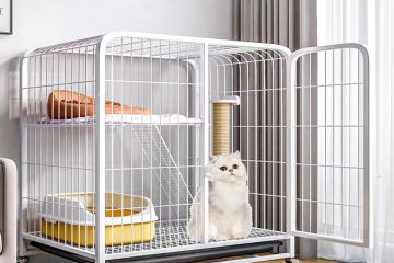 My cat cage